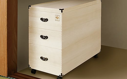 æ¡ããã ç·æ¡ã²ãªäººåœ¢åçŽã±ãŒã¹3段 TS-3DLïŒC116-005