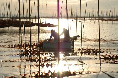 新撰佐賀のり 焼のり：B130-053