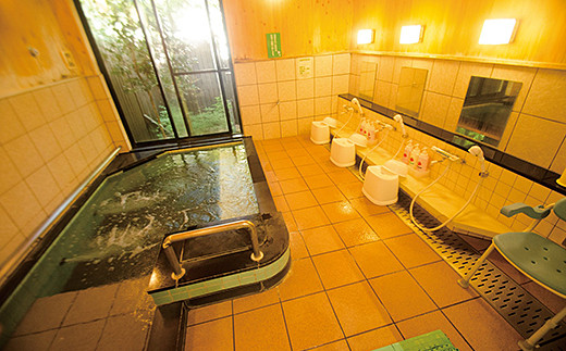 熊の川温泉 ちどりの湯 入浴券10枚＋家族風呂券4枚：B430-004