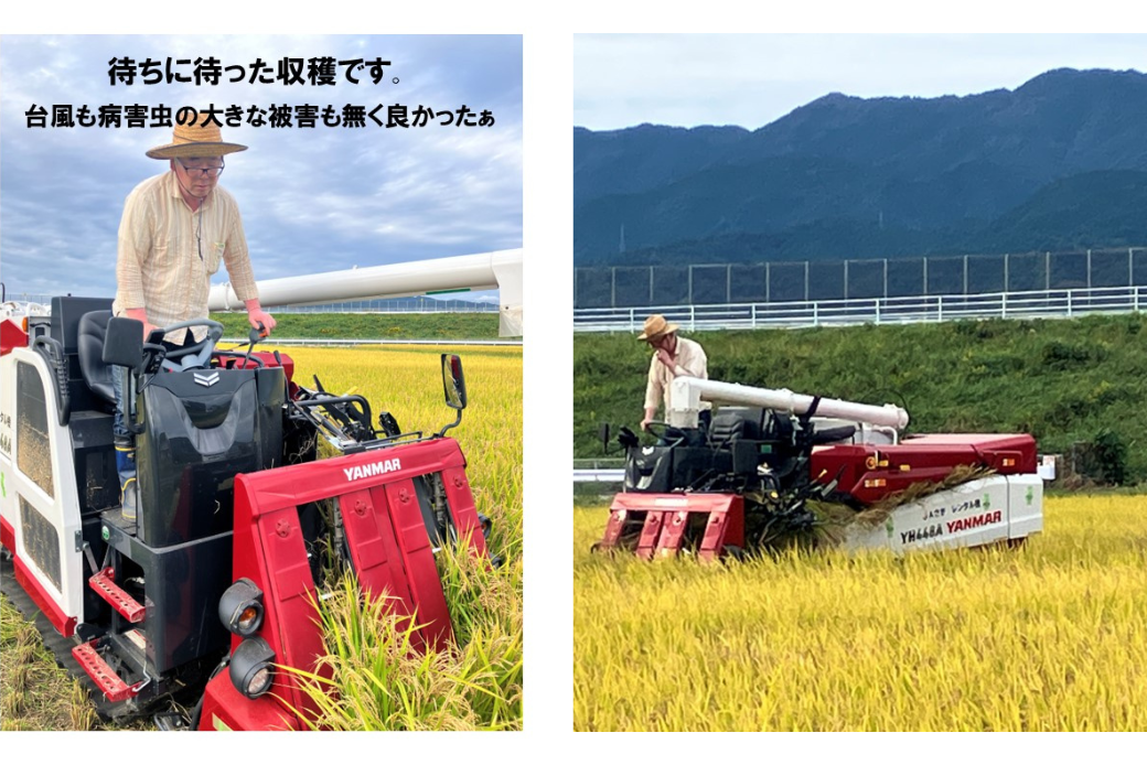 ãæ°ç±³ã什å7å¹Žç£ ãç±³ãã€ã¹ã¿ãŒãå§ããã ãã¡ããã®ãããã³ããã粟米 5kgïŒB165-012