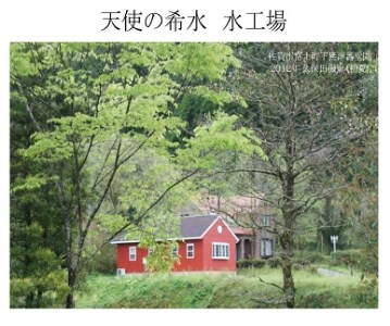 『天使の希水』2L×8本入り（計16L）：B140-078