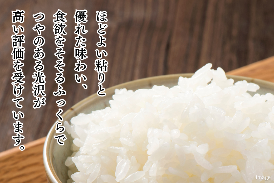 莉、蜥7蟷エ逕」 菴占ウ逵檎肇縲悟、「縺励★縺上5kg 縺顔アウ 繧ウ繝。 縺薙aシ咤120-067