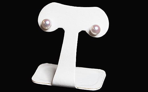 è¶ãšã¬ã¬ã³ã9mmã¢ã³ã€çç çŽä»ããã¢ã¹ïŒC300-031