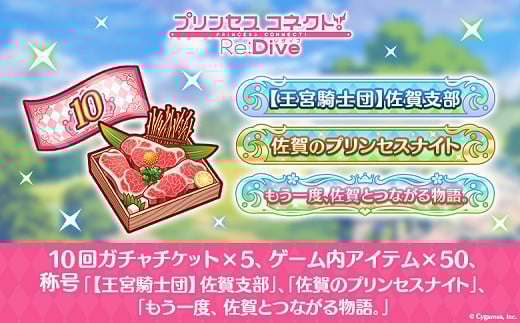 【ふるさと納税限定】Cygames プリコネR ゲーム内アイテムセット【cyg3】：B600-003