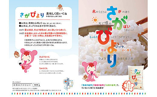 【新米】令和7年産 佐賀県産 さがびより 白米 10kg（5kg×2袋）おこめ 米 ：B320-014