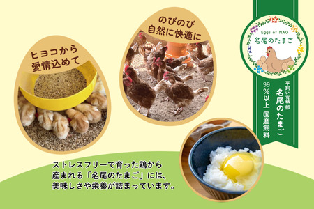 【定期便24回】国産飼料の平飼い有精卵「名尾のたまご」60個入：C520-002