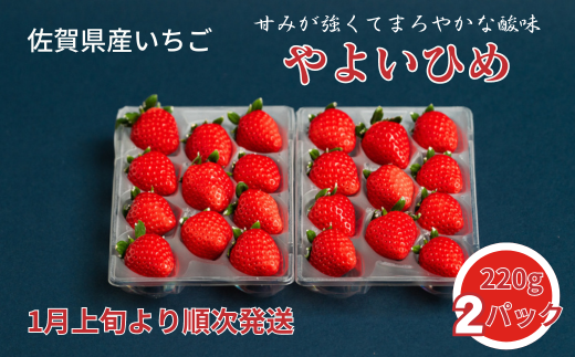 佐賀県産いちご やよいひめ：B100-038
