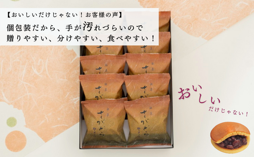 累計100万個以上販売 どら焼き さがどら(10個入)：B115-028