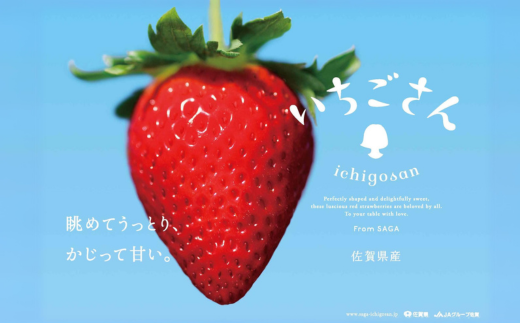 佐賀県産 いちごさん 240g×4パック：B145-012