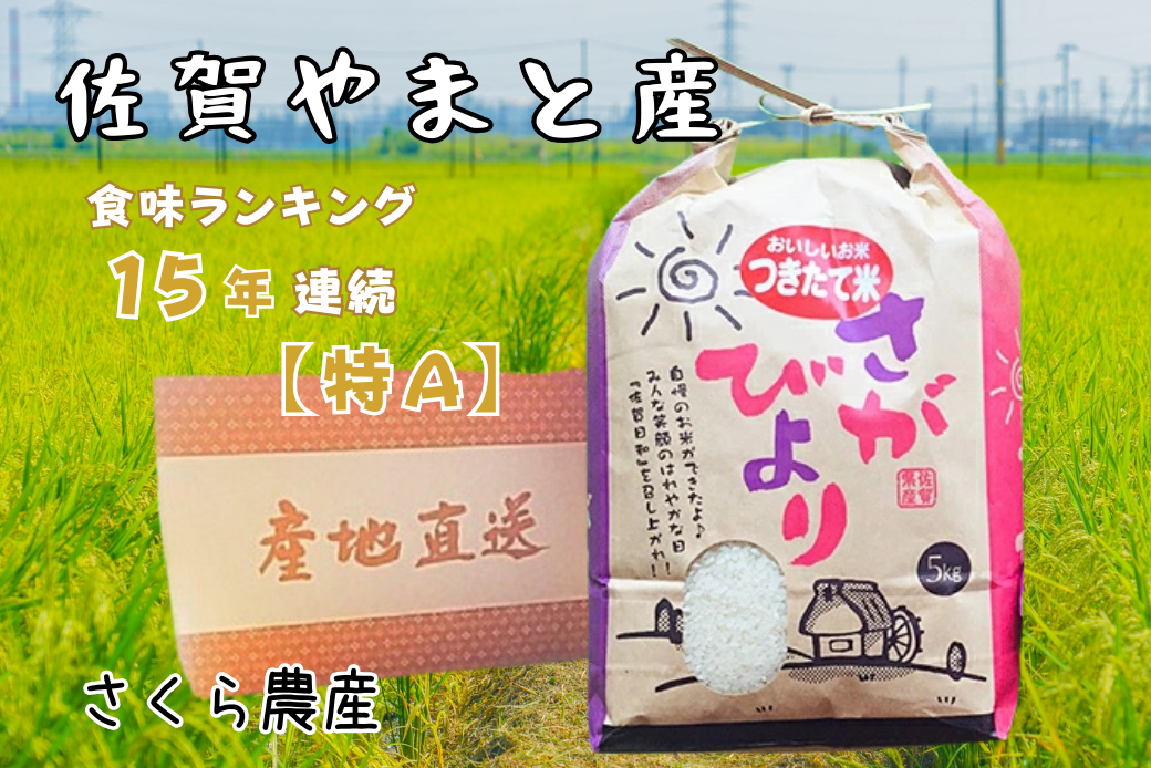 佐賀県大和産「さがびより」5kg 米 農家直送：B170-033