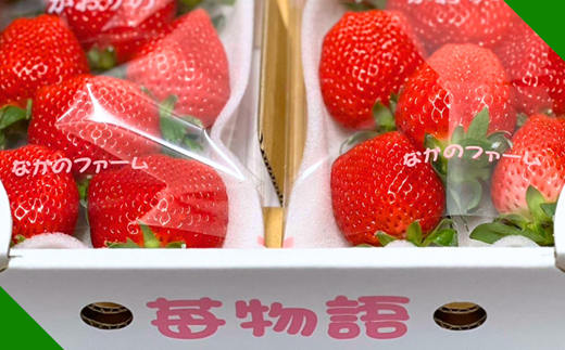 佐賀県産 いちご「かおりの」（250g×2パック）：A080-006