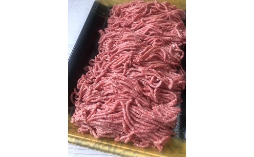 佐賀牛100%ミンチひき肉 500g：B140-025