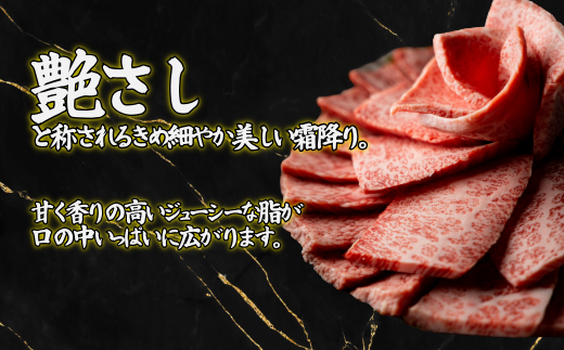 佐賀牛 赤身ステーキ 600g：B200-046