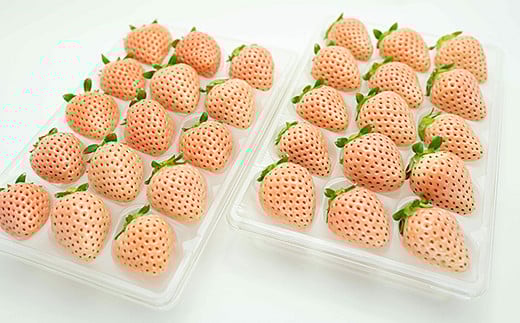 【定期便5回】佐賀県産 ３種いちご【2月〜6月発送】：B650-003