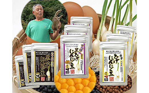 佐賀の手作りひげにんにく卵黄９袋セット：B525-001