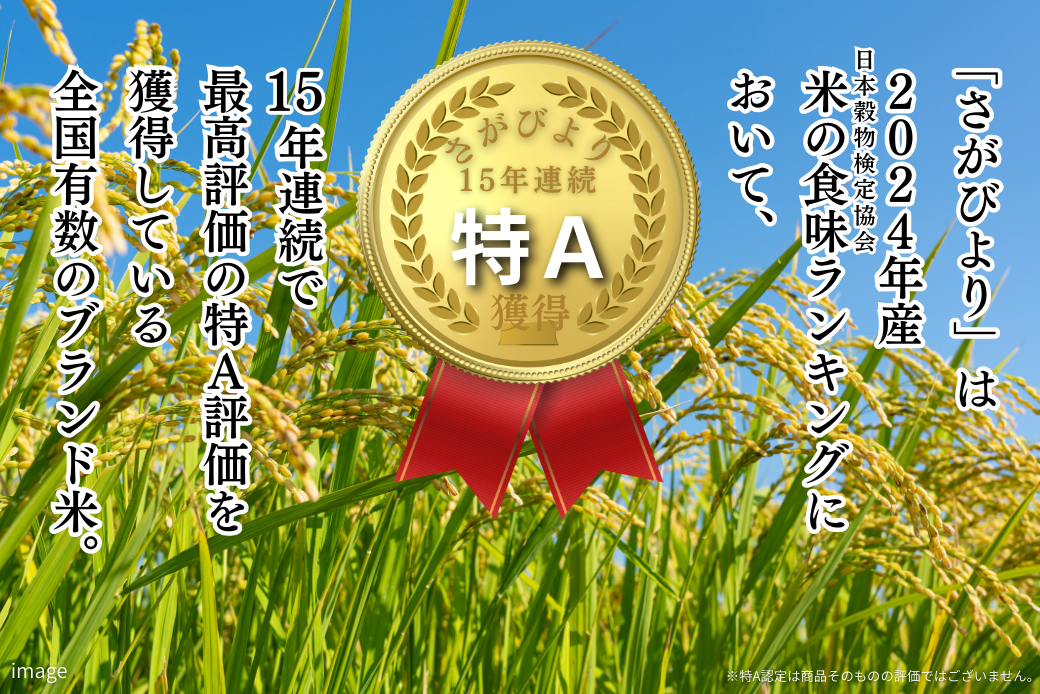 【新米】令和7年 佐賀県産「さがびより」5kg：B120-068