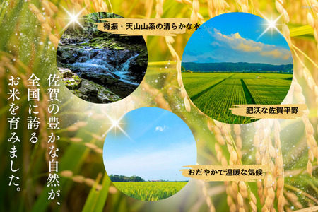 令和7年 佐賀県産「さがびより」10kg（5kg×2袋）：B220-049
