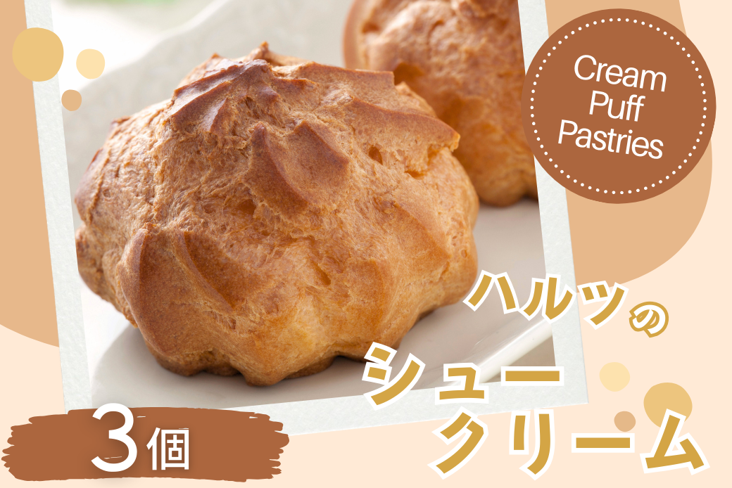 ハルツのシュークリーム 3個 創業40年 スイーツ 洋菓子 お菓子 おやつ デザート 小分け 個包装 ご褒美 お取り寄せ 人気 冷凍配送 送料無料 佐賀県 佐賀市：A070-003