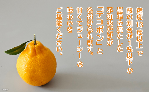 ãå
è¡äºçŽãäœè³ã¿ãã ãã³ãã³ãäžç¥ç«ãïŒB195-006