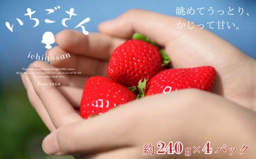 佐賀県産 いちごさん 240g×4パック：B145-012