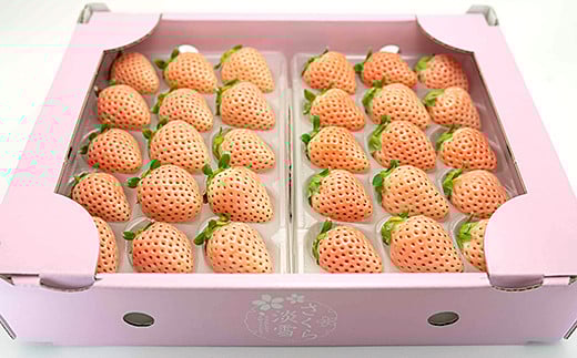 【定期便3回】佐賀県産 ３種いちご食べ比べ【2〜4月発送】：B395-006