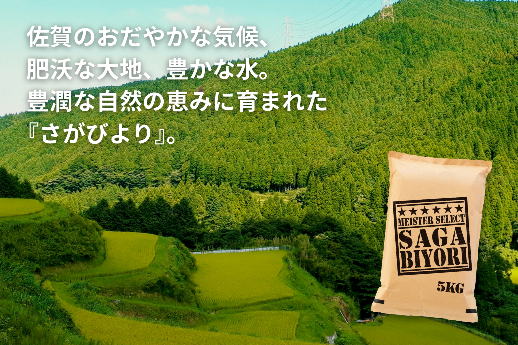 五つ星お米マイスターが厳選！【新米】令和7年産 佐賀県産 さがびより 白米 5kg おこめ 米 ：B175-017
