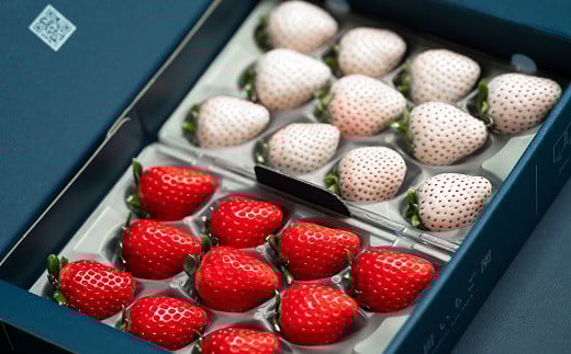 äœè³çç£ãã¡ã èµ€ãã¡ãçœãã¡ã çŽ
çœã»ããïŒB140-084