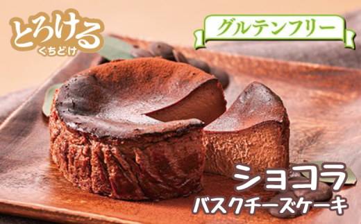 ショコラのバスクチーズケーキ：B100-003