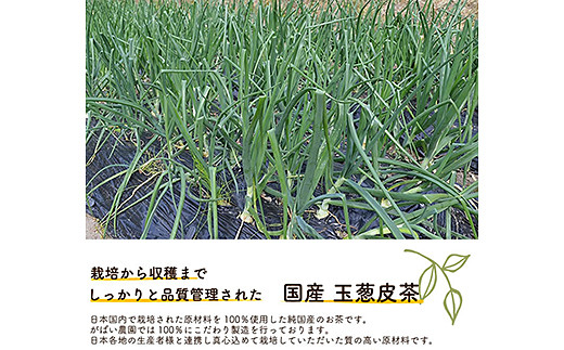 国産 玉葱皮茶（3個セット）：B210-006