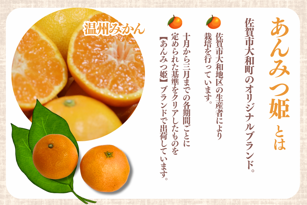 【10～12月発送】数量限定 佐賀みかん あんみつ姫 佐賀市大和町産 温州みかん：B150-075