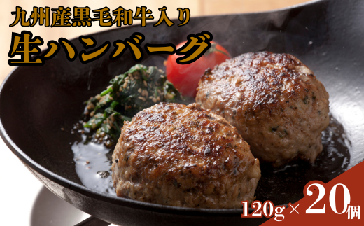 牛100％九州産黒毛和牛入り生ハンバーグ：B165-004