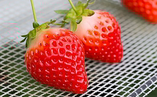 佐賀県産いちご いちごさん&やよいひめセット：B100-041