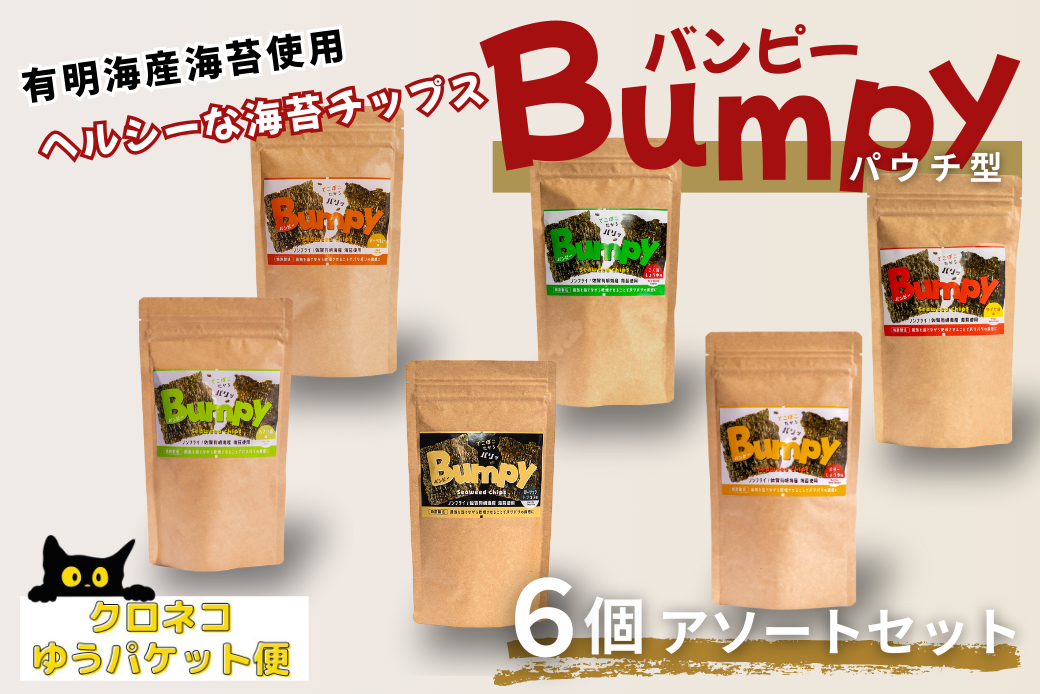 有明海産海苔使用 ヘルシーな海苔チップス「Bumpy（バンピー）」パウチ型6個アソートセット【クロネコゆうパケット利用】 フードロス削減 SDGs 有明海苔 有明海産 海苔 味付け海苔 スナック おやつ おつまみ：B100-068
