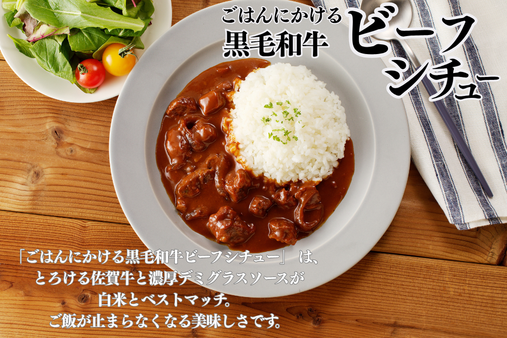 ごろっとカレー・ビーフシチューセット 佐賀牛 カレー ビーフシチュー レトルト 湯煎 レンジ調理 簡単 ：A080-012
