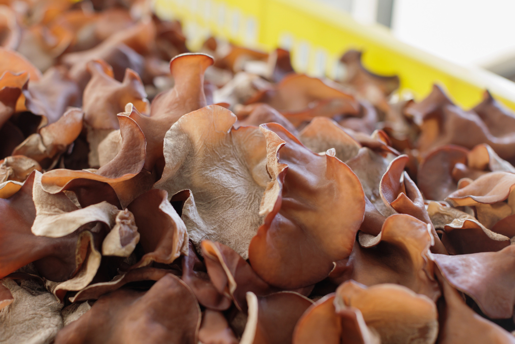 佐賀県産乾燥きくらげ２袋（手作業）：A085-003