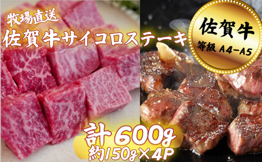 佐賀牛 サイコロステーキ 600g：B200-065