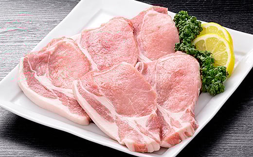 肥前さくらポーク　ロースとんかつ用10枚：B150-016