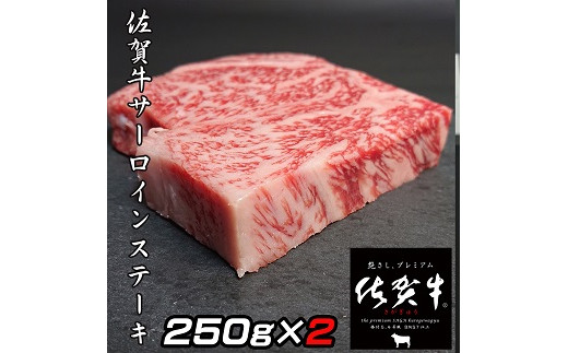 【偶数月定期便（年6回）】佐賀牛ステーキ 250g×2：C172-004