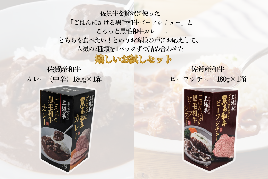 ごろっとカレー・ビーフシチューセット 佐賀牛 カレー ビーフシチュー レトルト 湯煎 レンジ調理 簡単 ：A080-012