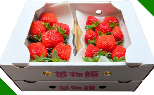 佐賀県産 いちご「かおりの」（250g×4パック）：B110-046