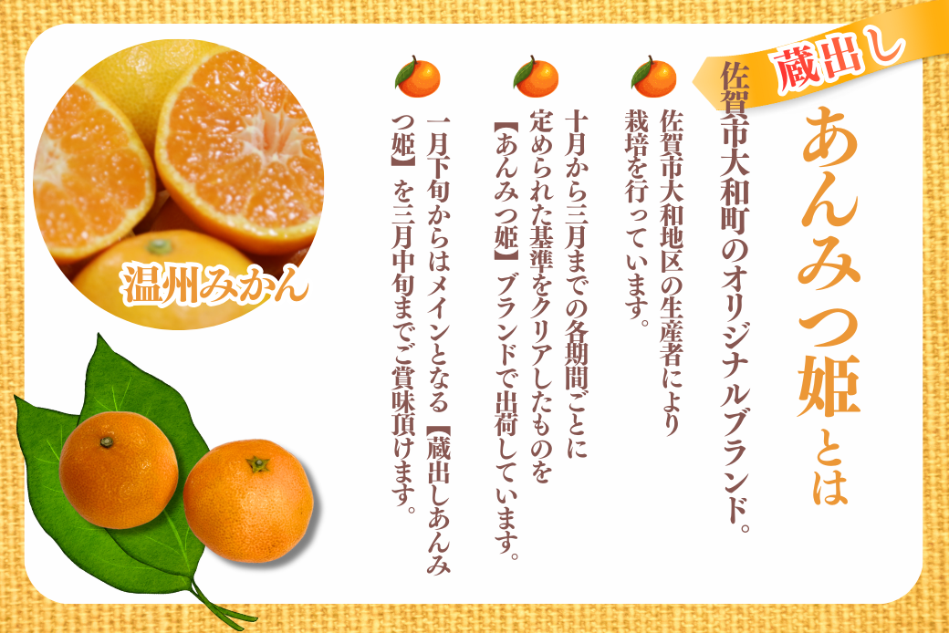 【1月下旬～3月発送】数量限定 佐賀みかん 蔵出しあんみつ姫 佐賀市大和町産 温州みかん：B150-078