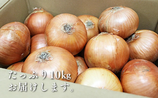 縲先悄髢馴剞螳壹台ス占ウ逵檎肇 縺溘∪縺ュ縺 10kg 譌ャ 驥手除 邇峨ュ縺 荵晏キ 菴占ウ逵 菴占ウ蟶ゑシ咤120-079