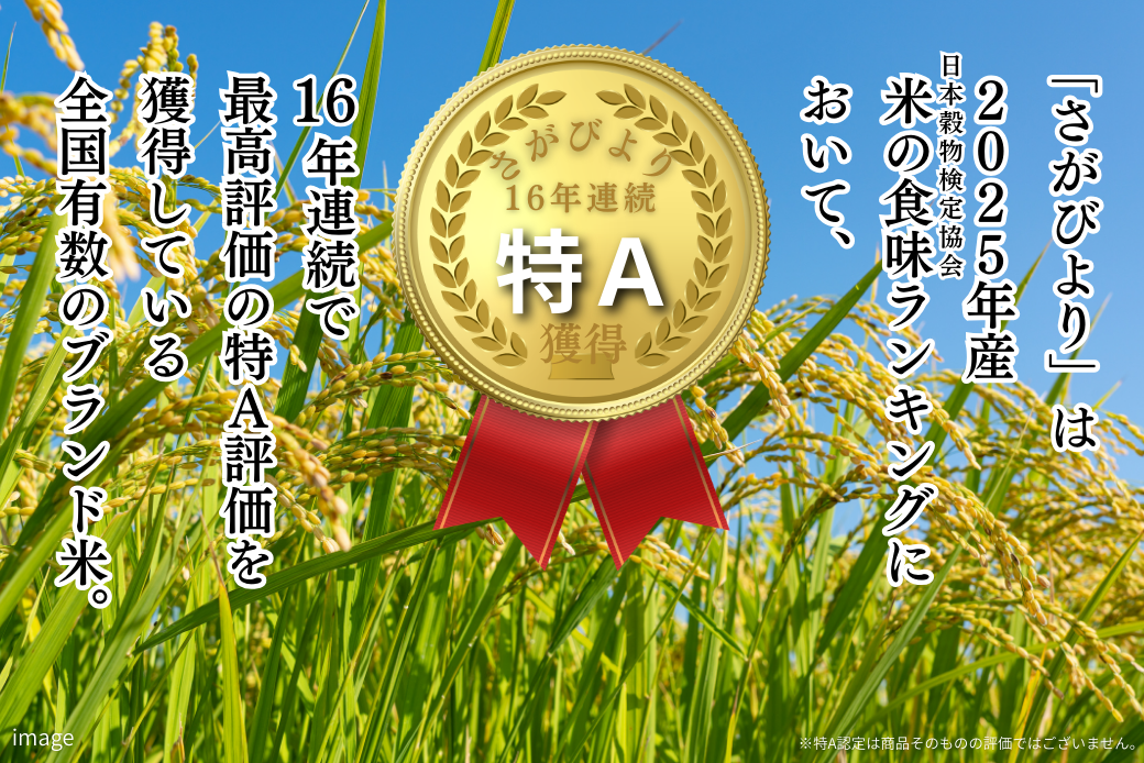 令和7年 佐賀県産「さがびより」10kg（5kg×2袋）：B220-049