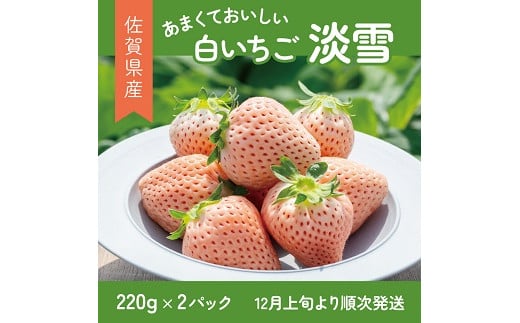 希少価値 佐賀県産 いちご 淡雪 220g×2パック フルーツ 旬 果物 イチゴ 苺 ピンク苺 白いちご 九州 佐賀県 佐賀市 清瀬農園 朝詰み：B140-009