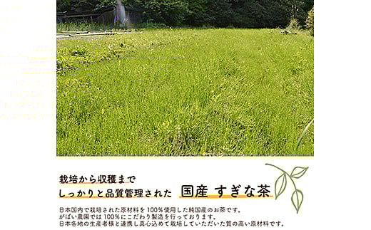 åœç£ ãããªè¶ïŒ3åã»ããïŒïŒB180-020