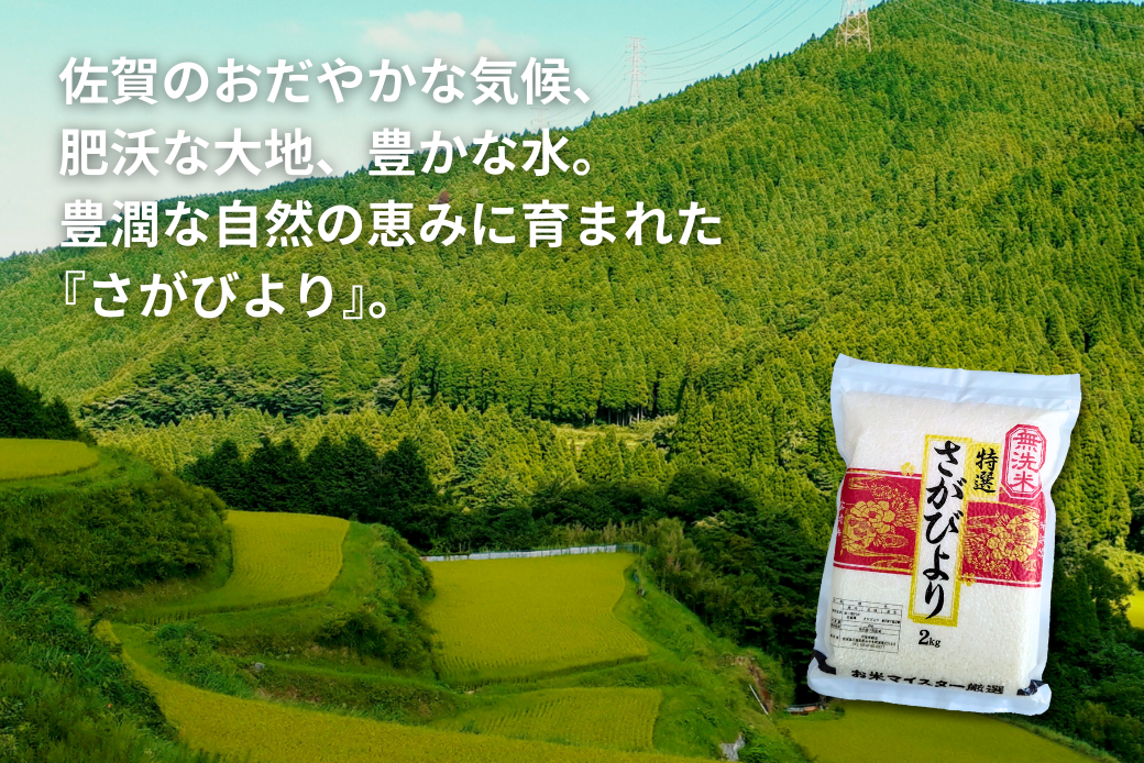 五つ星お米マイスターが厳選！【無洗米】さがびより 2kg×4袋（真空パック）：B350-019