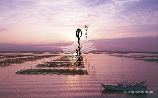 佐賀のり詰合せD：B545-001