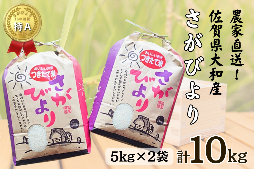 佐賀県大和産「さがびより」5kg×2袋 米 農家直送：B320-017