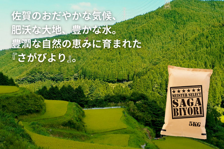 五つ星お米マイスターが厳選！令和7年産 佐賀県産 さがびより 白米 10kg（5kg×2袋）おこめ 米 ：B320-015