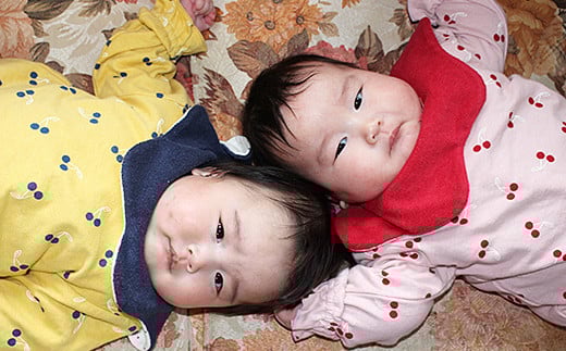 äœè³çç¹å¥æ œå¹èŸ²ç£ç©èªèšŒïŒïŒèªç¶ç±³ãç¥ã®åã1kgïŒB285-003